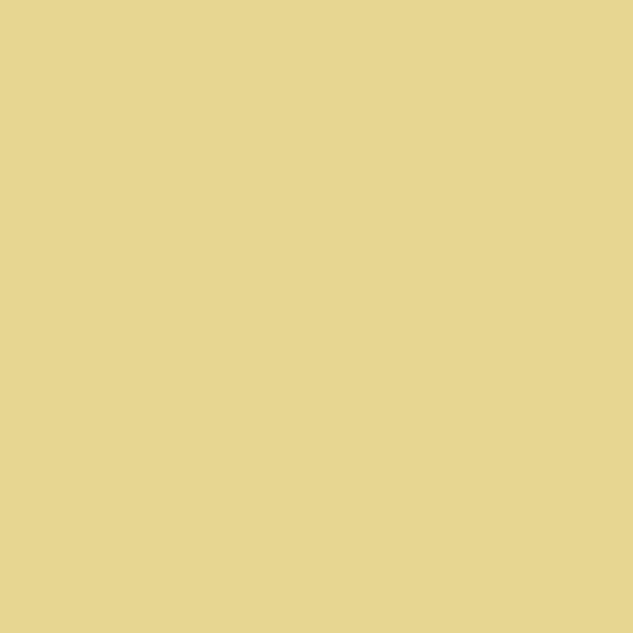 Light Ivory - RAL 1015